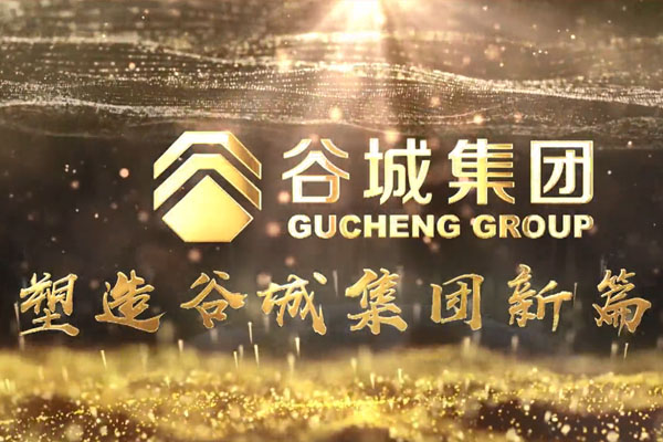 共筑新時代，不負韶華夢——谷城集團隆重舉行2019年度榮譽表彰大會暨2020年迎春年會